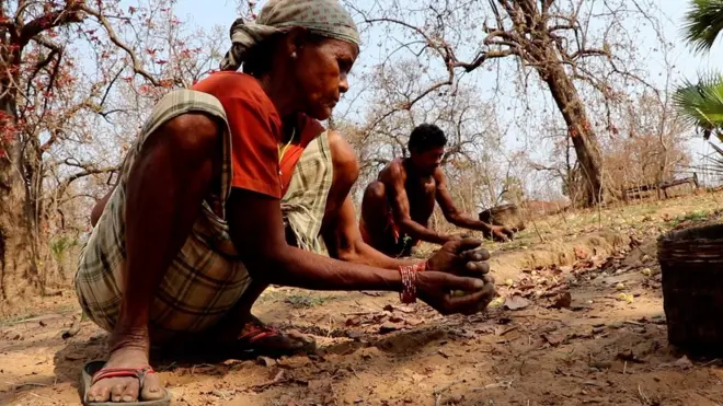 छत्तीसगढ़, बस्तर