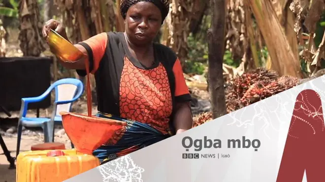 Mmepụta mmanụ nri