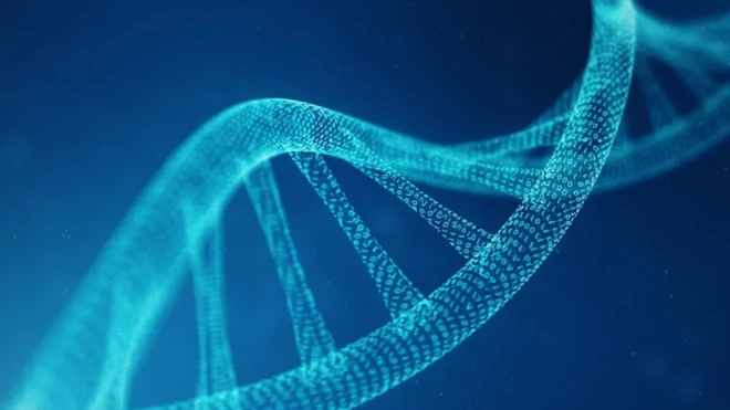 آرٹ ورک: مقصد انسانی ڈی این اے کے حصوں کو شروع سے بنانا ہے