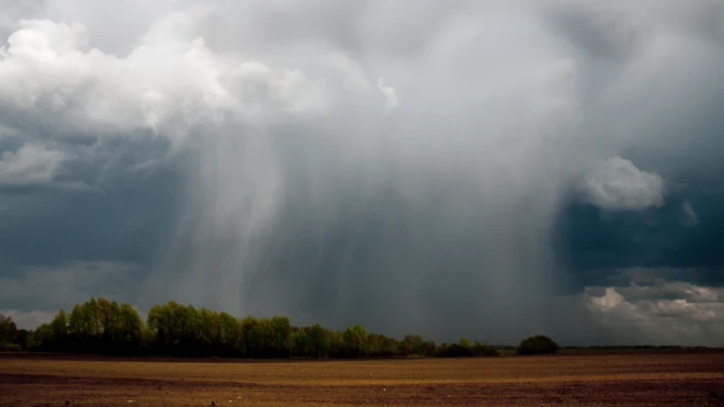 कृत्रिम पाऊस