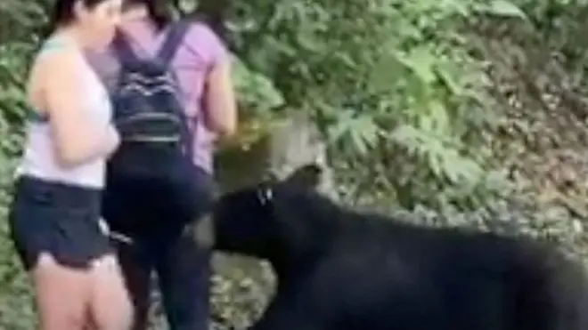 Amaakenni yeroo turistii fuunfataa jirutti