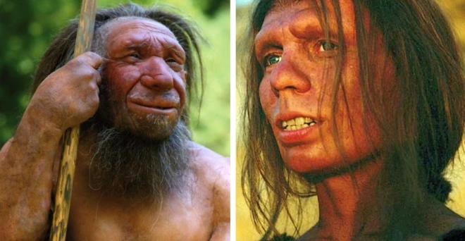 หุ่นจำลองมนุษย์โบราณที่พิพิธภัณฑ์ในเยอรมนี