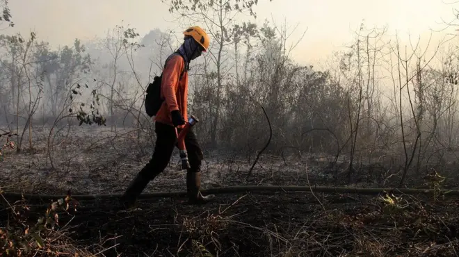 Petugas BPBD Kabupaten Kubu Raya berjalan di area kebakaran lahan gambut di Desa Durian, Kecamatan Sungai Ambawang, Kalimantan Barat, 29 Juli 2025.