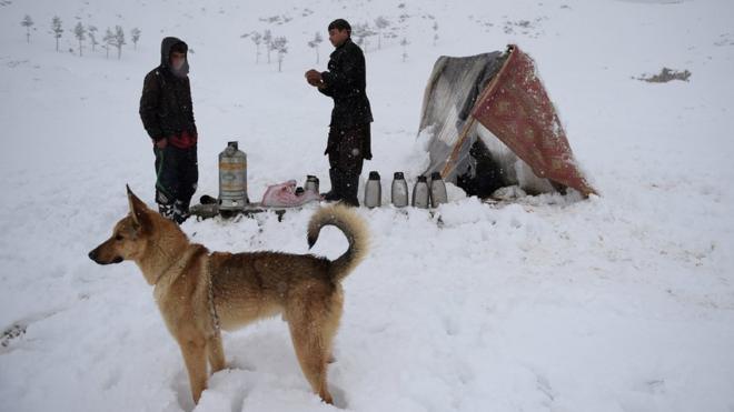 Пакистан і Афганістан потерпають від потужних снігопадів