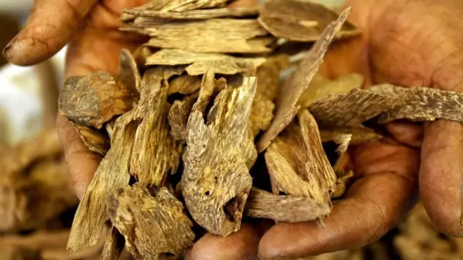 العطر الذي يفوق الذهب سعراً