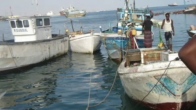 Kalluumeysatada Berbera