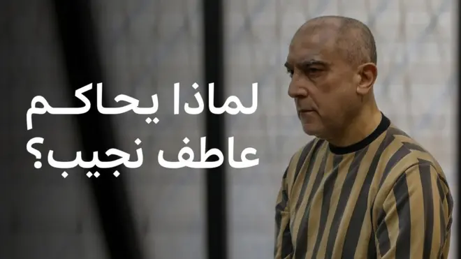 عاطف نجيب
