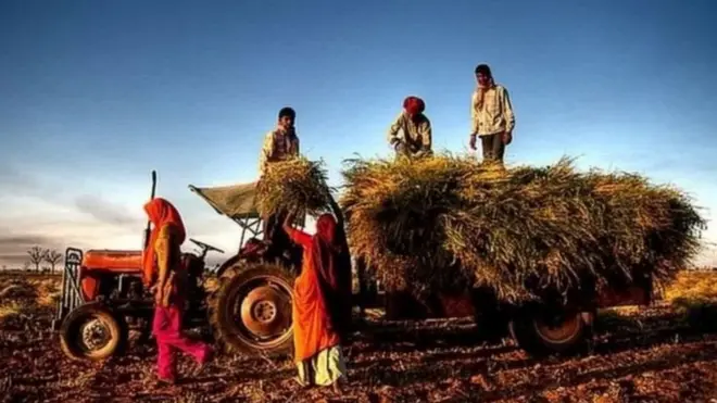 వ్యవసాయ చట్టాలు