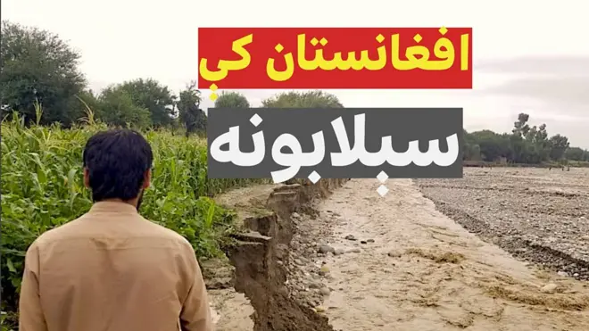 د افغانستان ختیځ ننګرهار ولایت مرکز او ځینو ولسوالیو کې د تېز باران له کبله سېلابونه راوتلي چې زرګونه جرېبه کرنیزه ځمکه یې تخریب او فصلونه یې له منځه وړي.