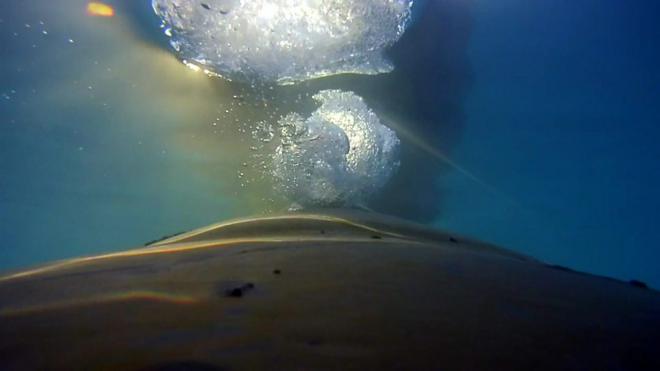 ภาพจากกล้องหลังวาฬ