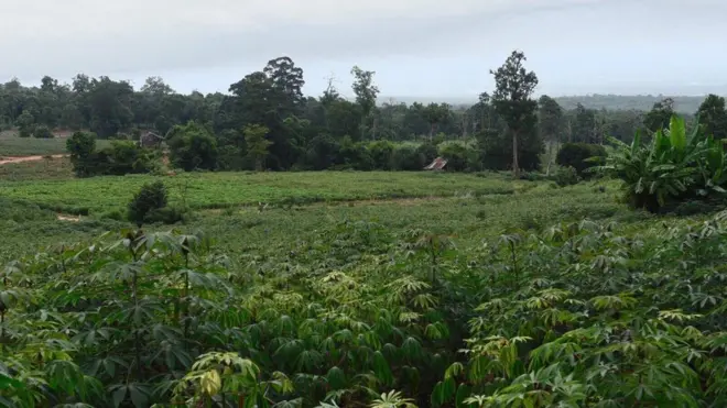 ชาวบ้านส่วนใหญ่ทำกินในพื้นที่ตั้งแต่ก่อนประกาศตั้งเขตอุทยานแห่งชาติไทรทอง