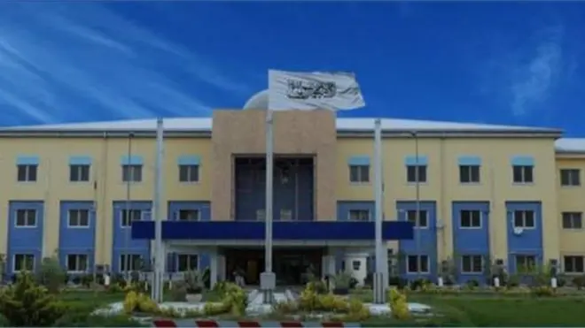 کورنیو چارو وزارت