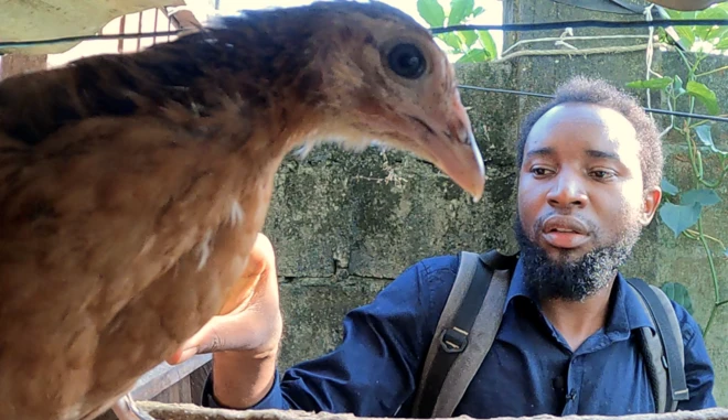 Dr Clément Difo prenant soin de ses poulets.