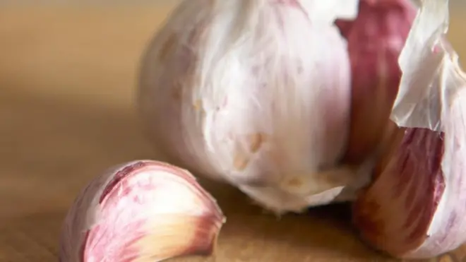 Garlic