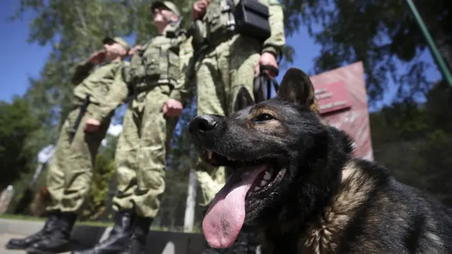 пограничники