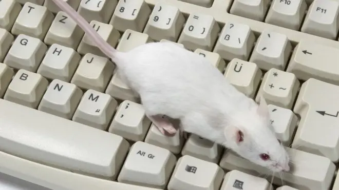 ఎలుక, కీబోర్డు, డీప్ ఫేక్