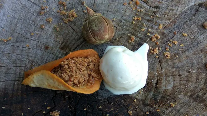 Tapi Tapi的冰淇淋