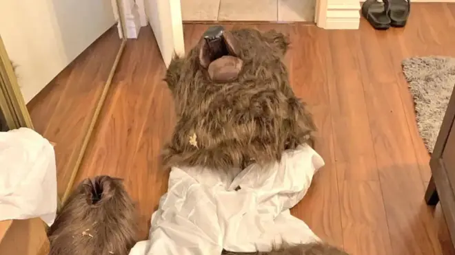 Костюм ведмедя, який вдягли шахраї