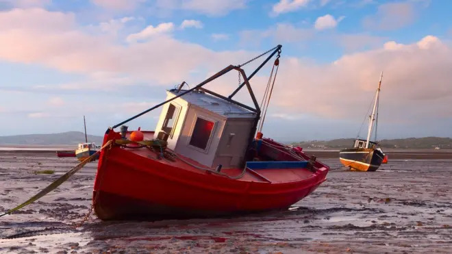 Креветки для традийионного ланкаширского блюда выдавливают вот тут.
