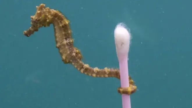 Foto mengejutkan yang mengingatkan tentang pentingnya masalah sampah di laut.