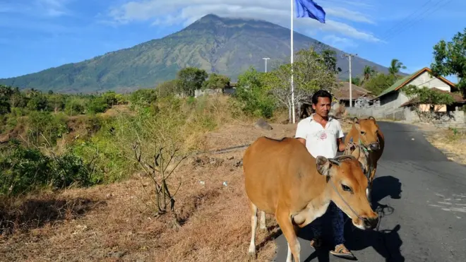 Seorang petani dan dua ekor sapi miliknya di kawasan Karangsem, Bali, dengan latar belakang Gunung Agung, 23 September 2017