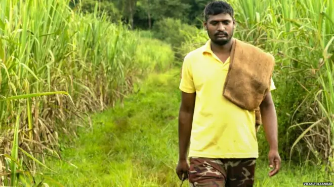 प्रातिनिधिक फोटो