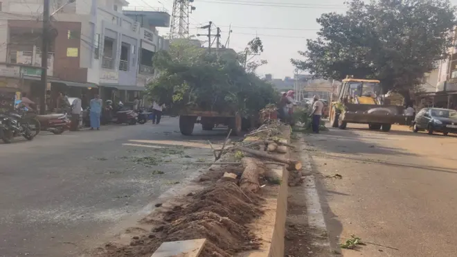 చెట్ల నరికివేత