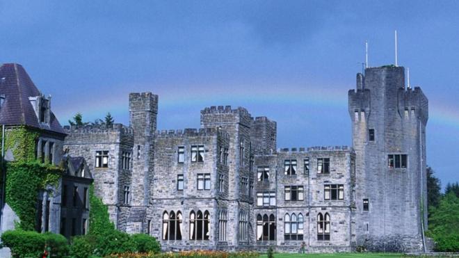 獵鷹，阿什福德城堡，愛爾蘭（圖片來源：DEA/W.BUSS/Getty）