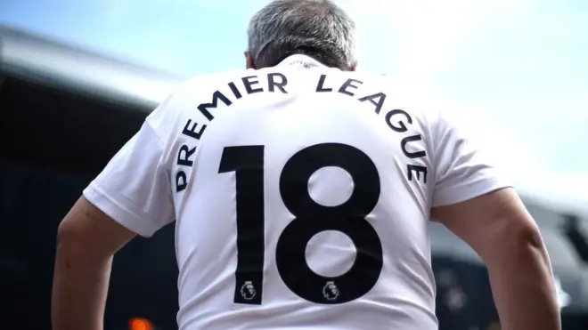 Навијач Фулама