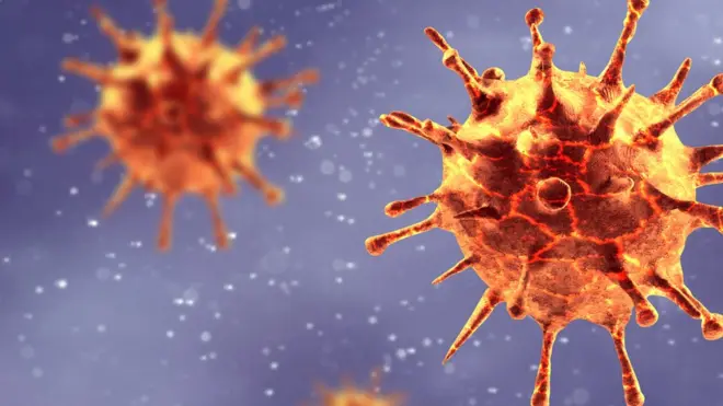 La categoría taxónomica del coronavirus, al cual pertenece este nuevo virus, fue revelada en 1968. Fue llamada así por asemejarse a la corona solar.