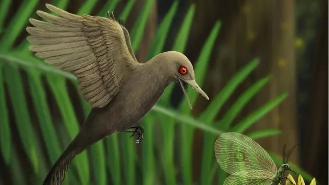 ภาพจำลองไดโนเสาร์ตัวจิ๋ว Oculudentavis khaungraae ที่เป็นนักล่ากินแมลง