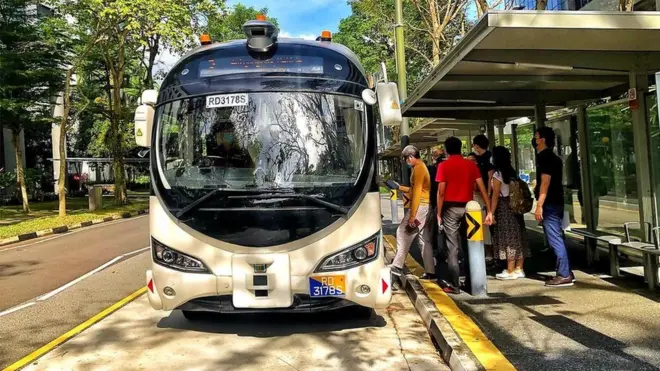 Xe bus trong người lái ở Singapore - hình minh họa