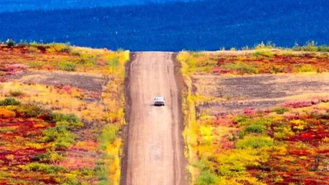 ڈیمسٹر شاہراہ