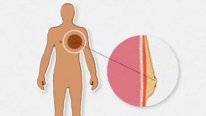 मानवशरीर