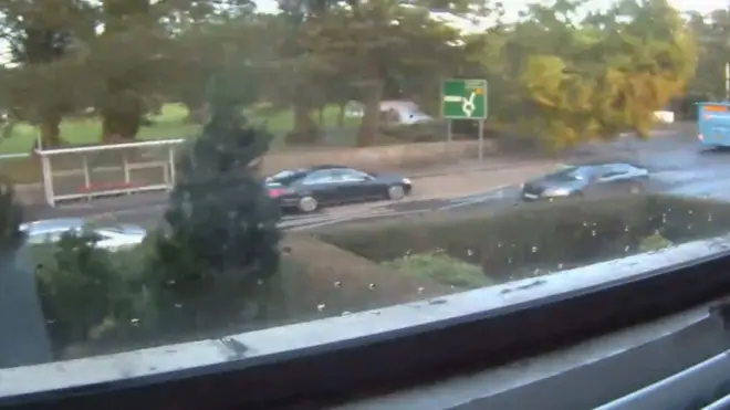 Шторм с легкостью валит деревья и изгороди.