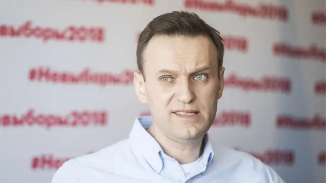 В 2014 году суд признал Алексея Навального и его брата Олега виновными в мошенничестве