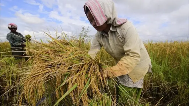 人口急劇增長主要在發展中國家，對糧食生產提出更大需求。印度是磷肥全球進口第一大國。但印度主要依靠進口沙特和中國的磷肥。