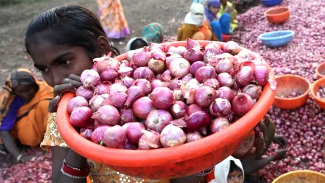 ડુંગળીની તસવીર