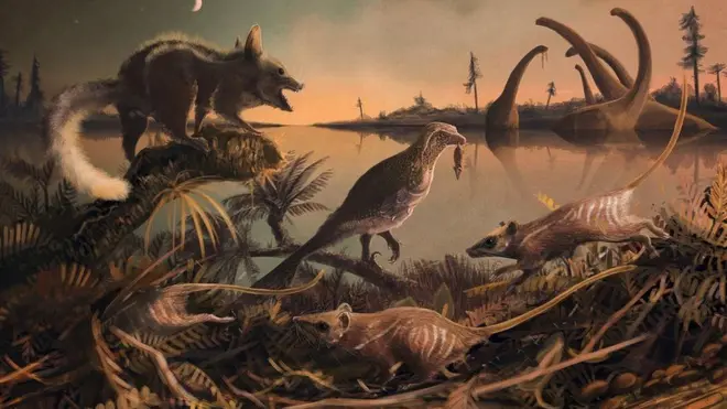 Estos mamíferos salían por la noche a cazar insectos.