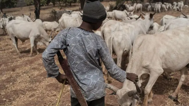 Herdsmen don attack different states inside Nigeria for 2017