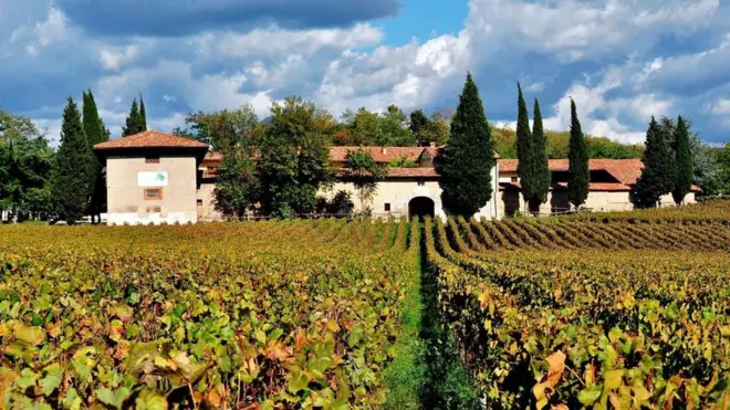 弗蘭奇亞考達是意大利現存最為完好、最為優秀的葡萄酒天堂（圖片來源：AGF/Getty）