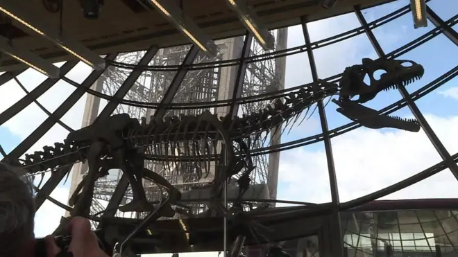 حراج فسیل یک دایناسور در برج ایفل پاریس