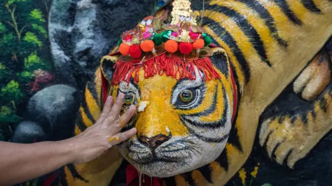 Umuntu wakubise igi ku gishusho cy'ingwe ngo abone imigisha ku rusengero rw'i Phnom Penh muri Cambodia