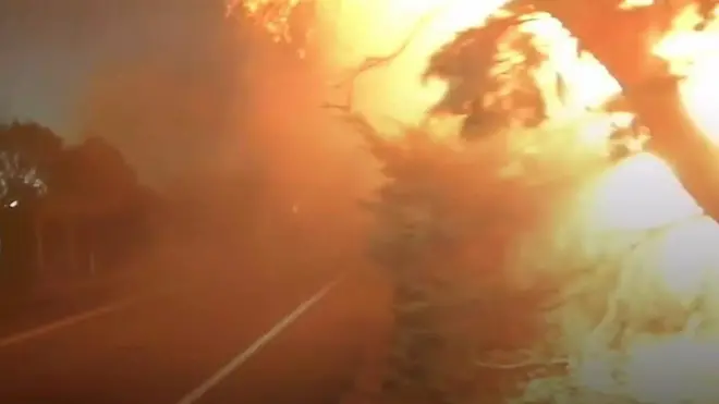 Лесные пожары в Калифорнии: десятки погибших и раненых