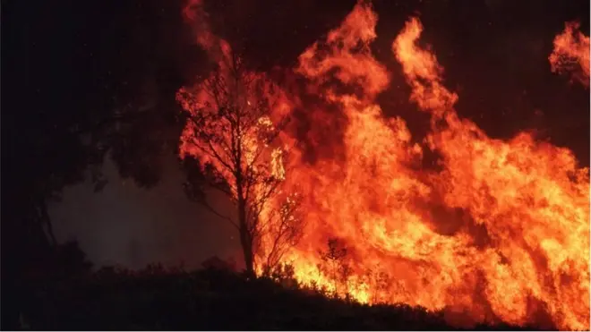 آتش سوزی در استرالیا