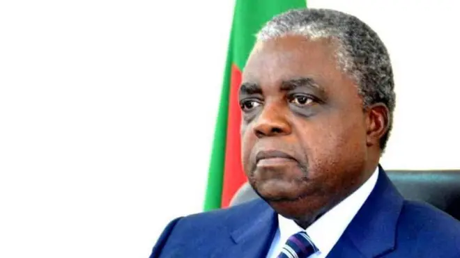 Rene Emmanuel Sadi, Cameroon Communication Minister