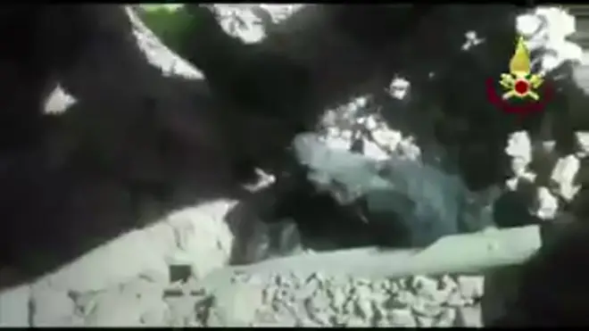 İtalya'da enkaz altından kurtarılan köpek