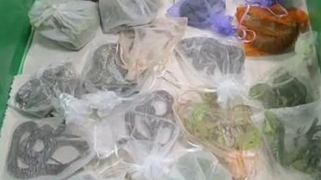 زواحف وثعابين