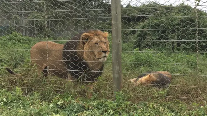 Suuraa Indiriyaa fi Jaanoo agarsiisu