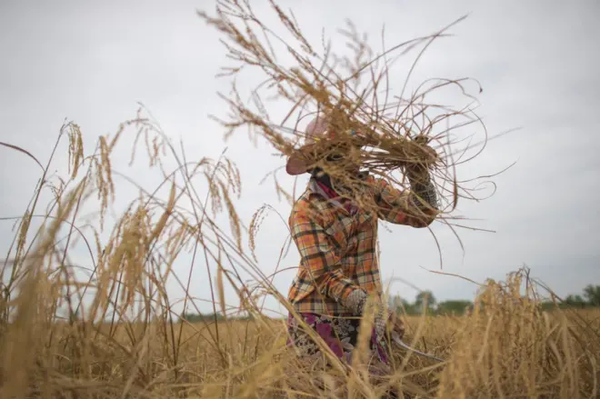 မြန်မာလဠ်သူမ တစ်ဦး